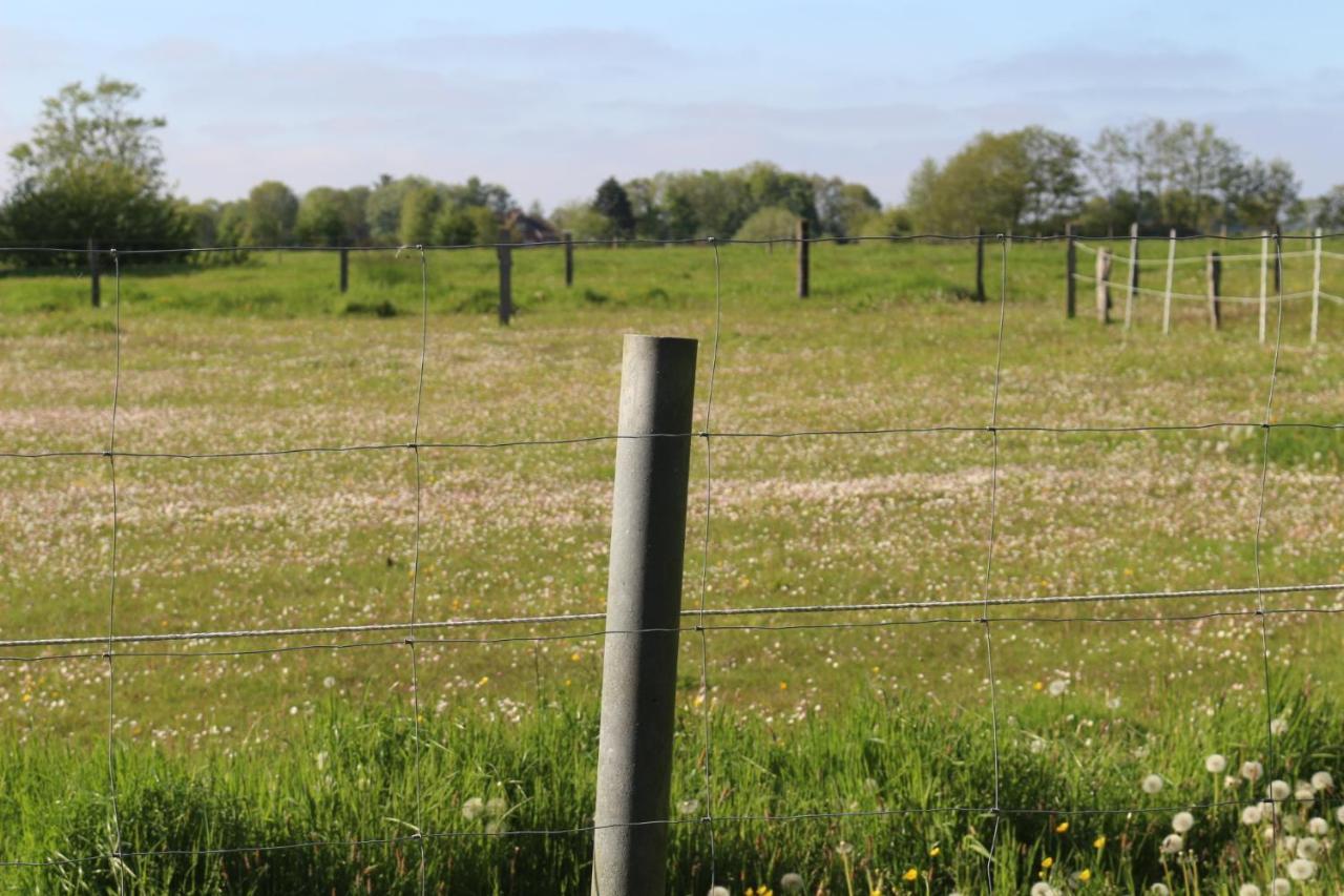 Mensteder Utkiek Lejlighed Großheide Eksteriør billede